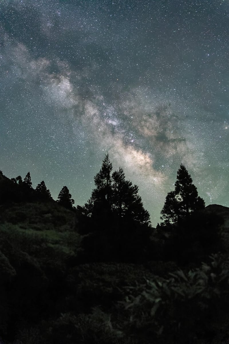 Fantasy Night Sky
